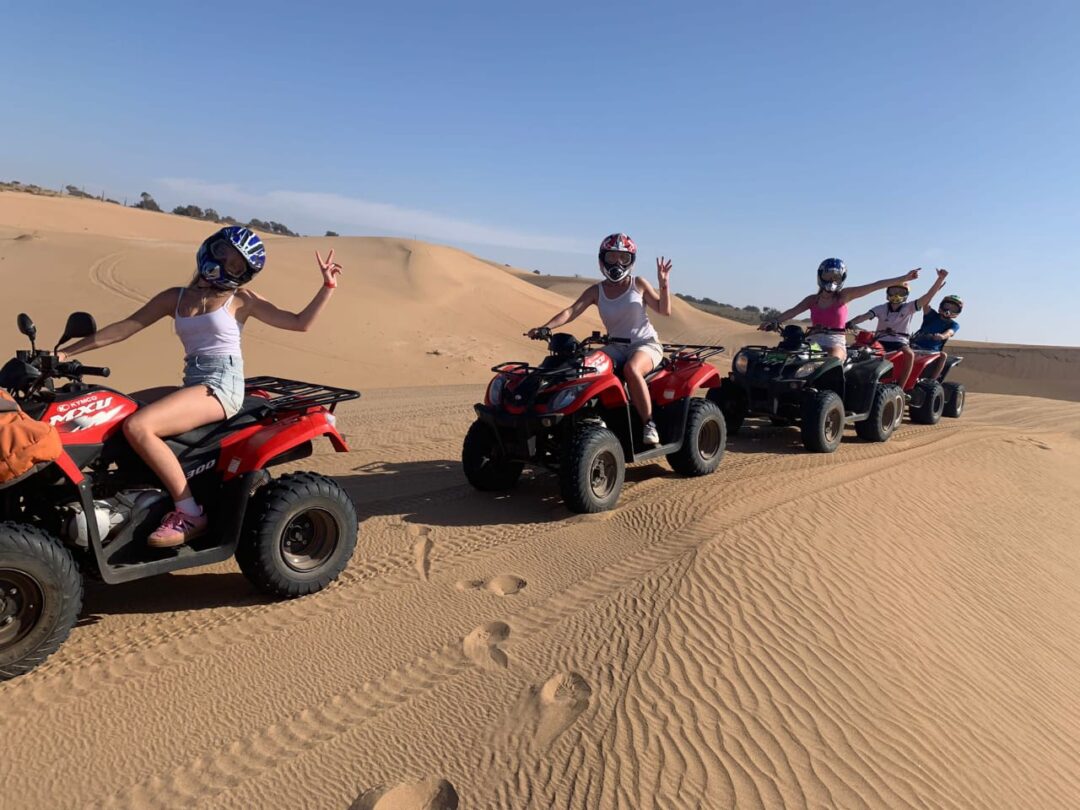 Quad Bikes - Image 7