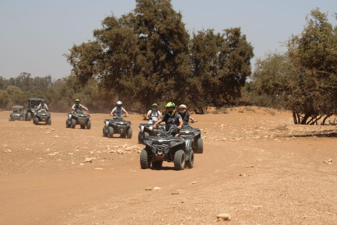 Quad Bikes - Image 9