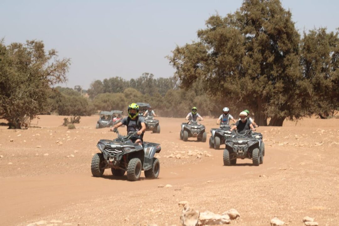 Quad Bikes - Image 10