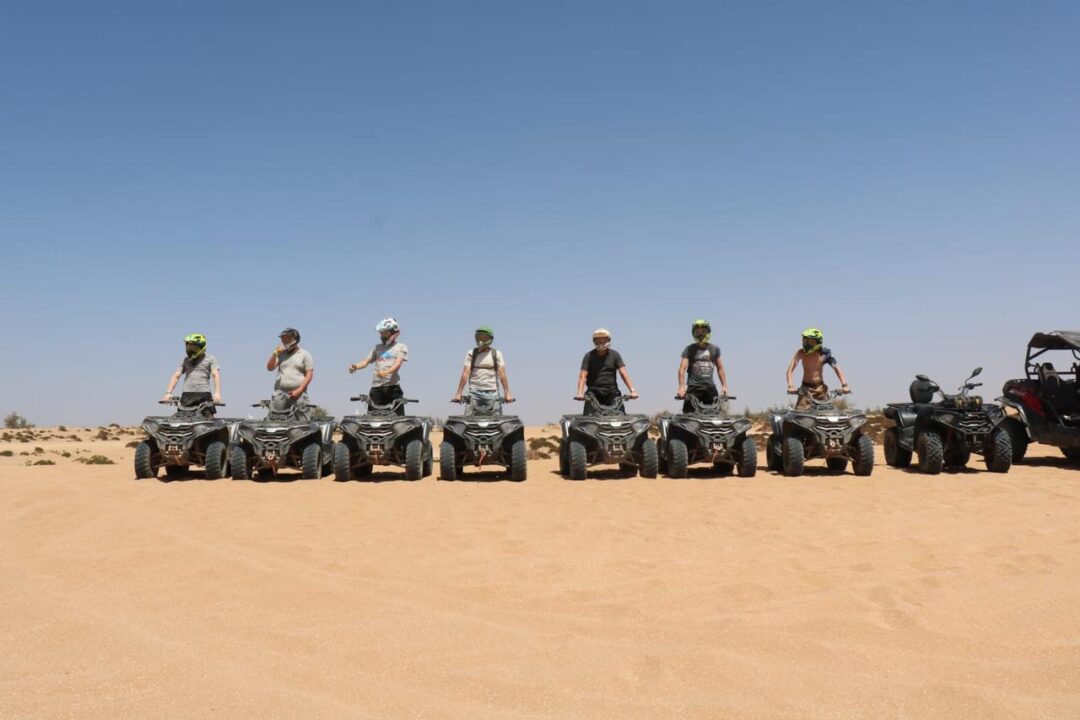 Quad Bikes - Image 13