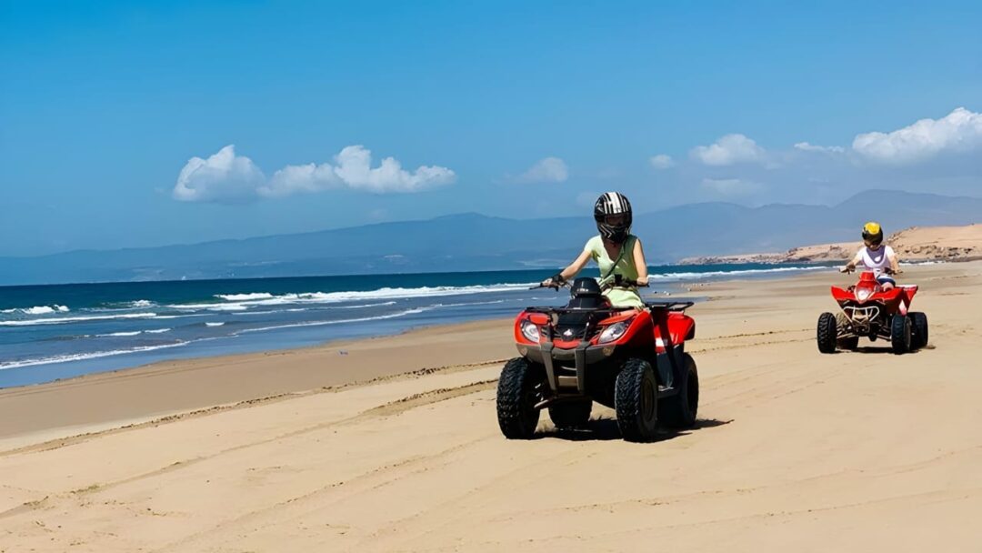 Quad Bikes - Image 6