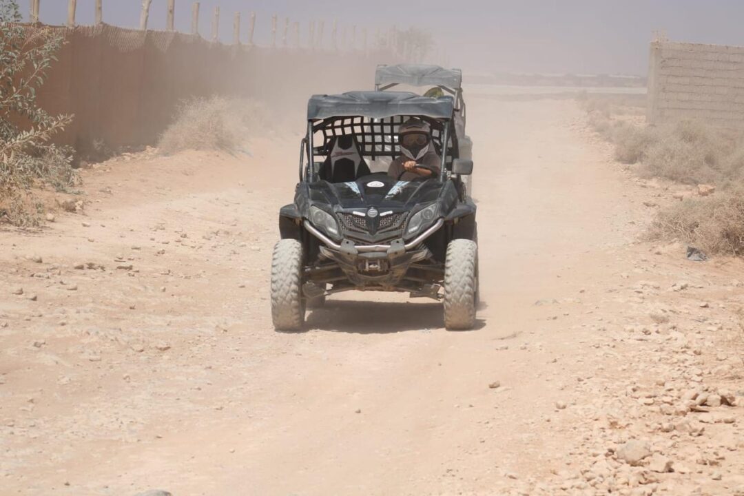Buggy - Image 5