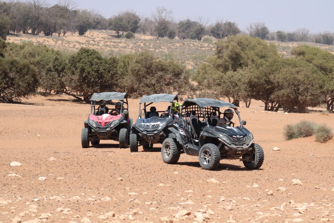 Buggy - Image 6