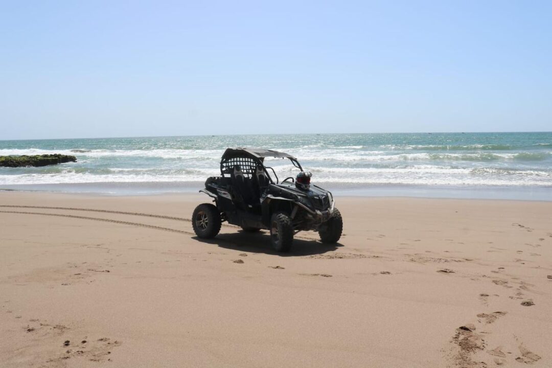 Buggy - Image 8