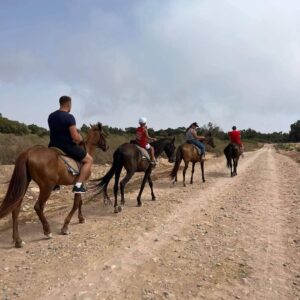 Horse Ride