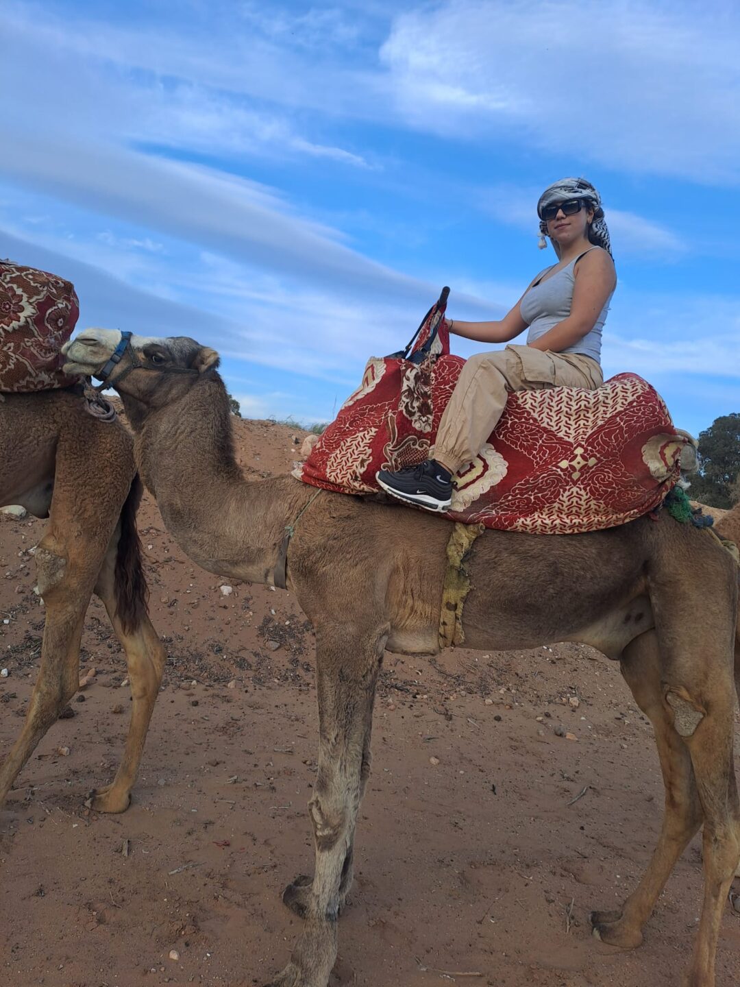 Camel Ride - Image 8