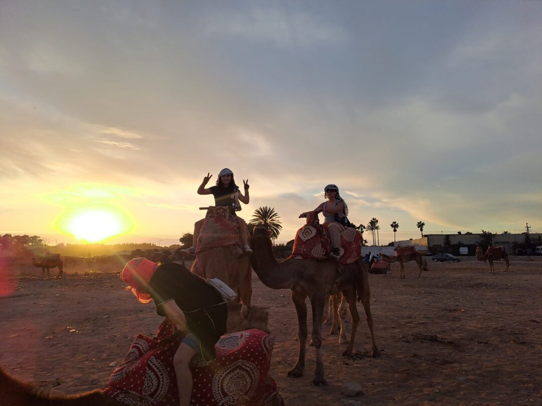 Camel Ride - Image 2