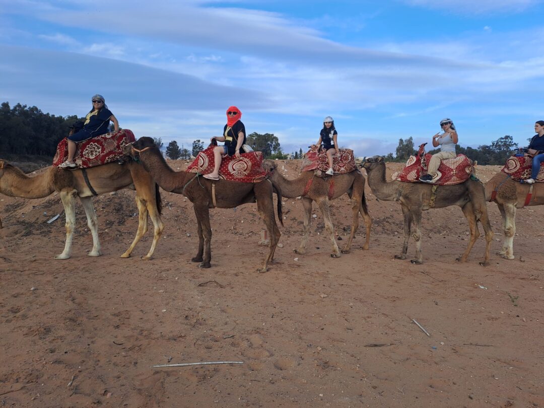 Camel Ride