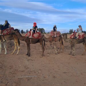 Camel Ride