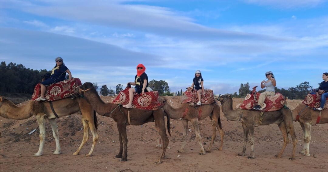 Camel Ride