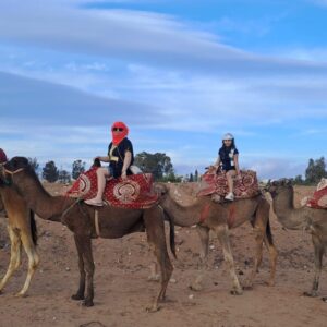 Camel Ride