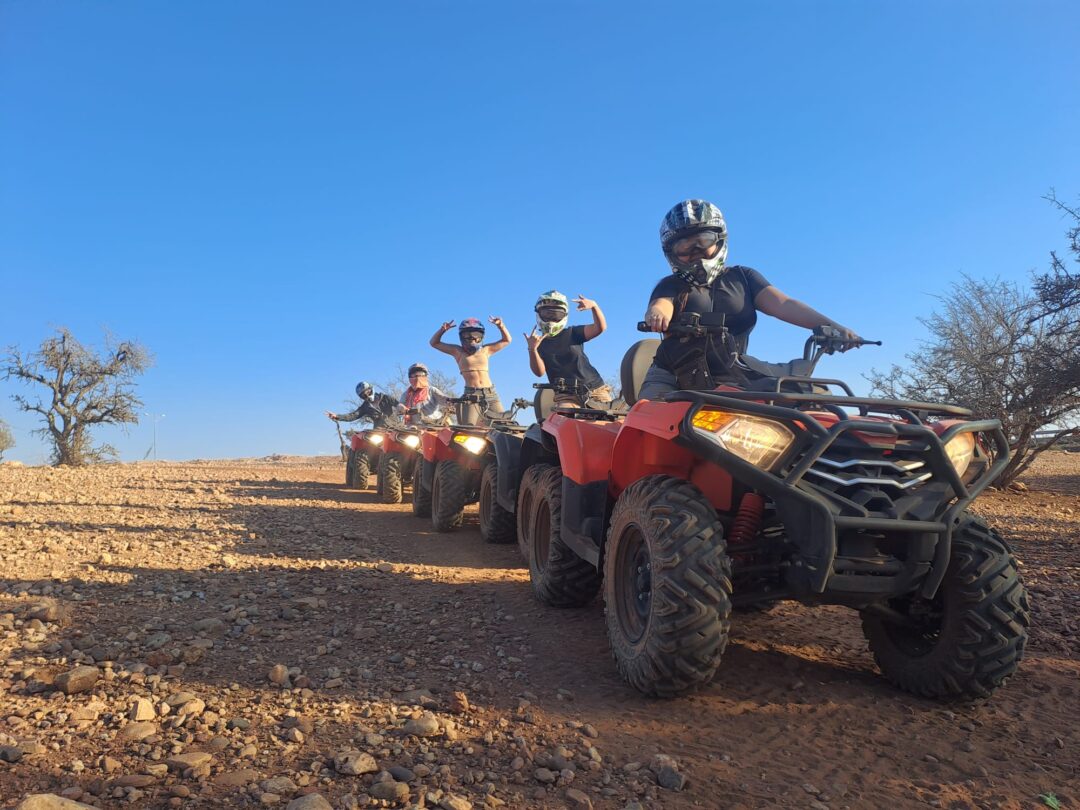 Quad Bikes - Image 15